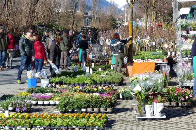Landsprachmarkt 2019 in Goldrain. Fotos: Sepp