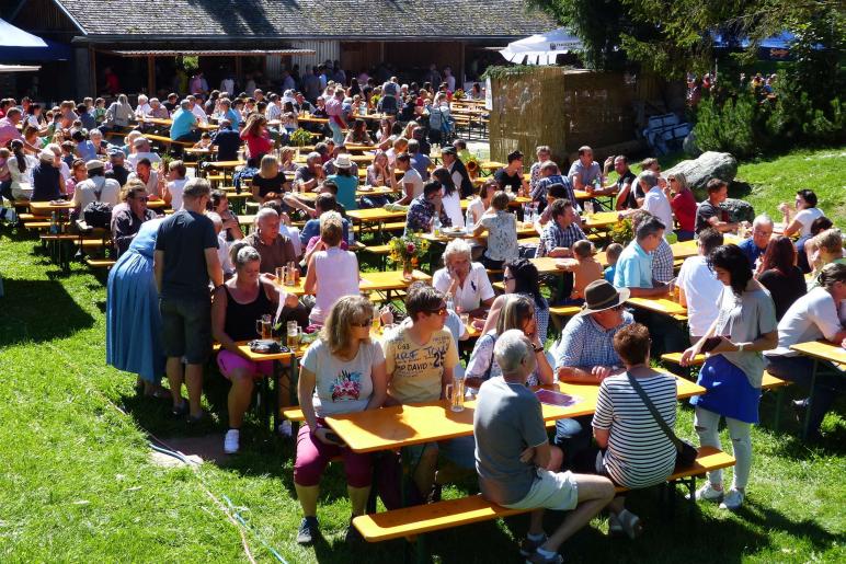Marteller Almabtrieb 2018; Fotos: Sepp
