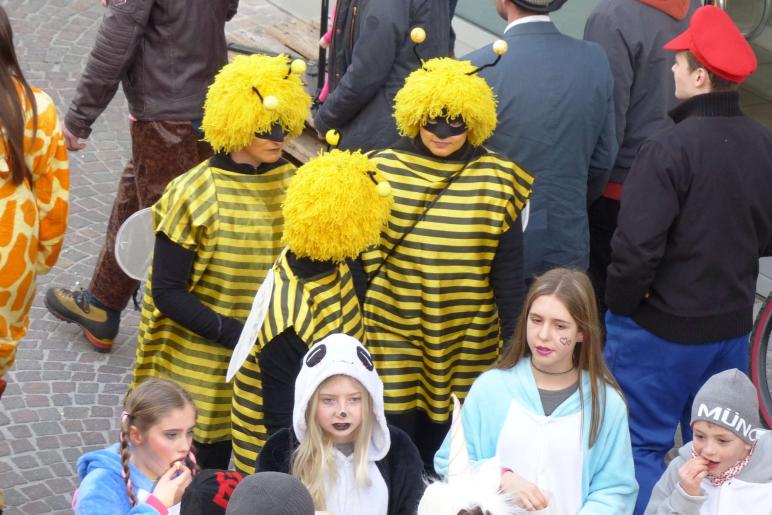 Schlanderser Faschingsumzug 2018; Fotos: Sepp